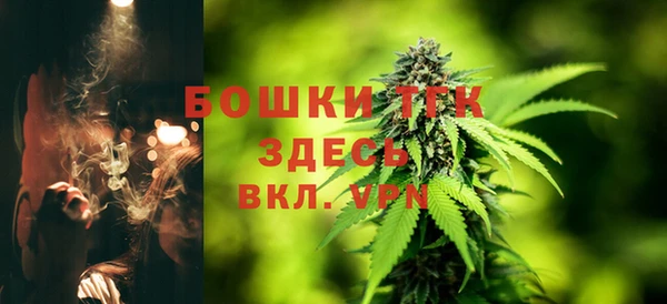 молекула духа Балабаново