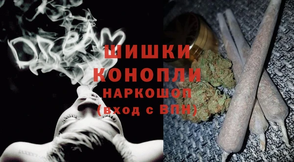 гидра Аркадак