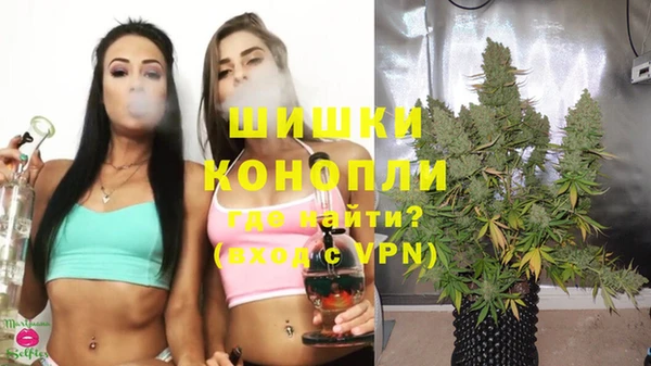 гидра Аркадак