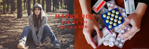 гидра Аркадак