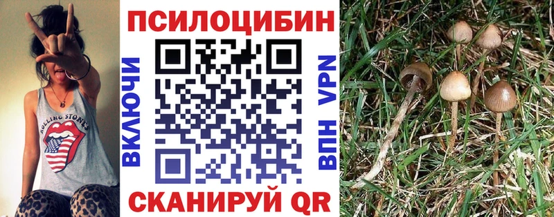 Псилоцибиновые грибы мицелий сколько стоит Котельниково